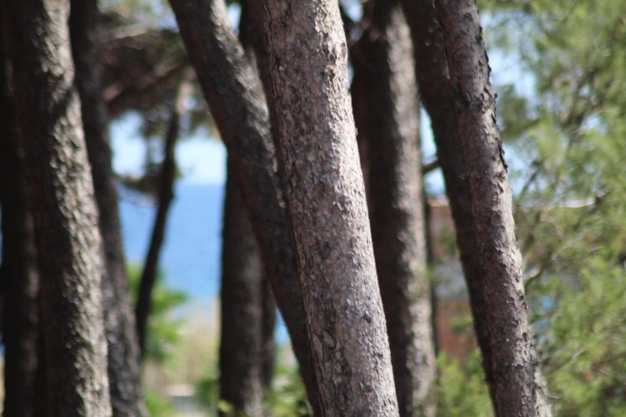 Park Hotel Le Dune Di Giovino Καταντζάρο Εξωτερικό φωτογραφία