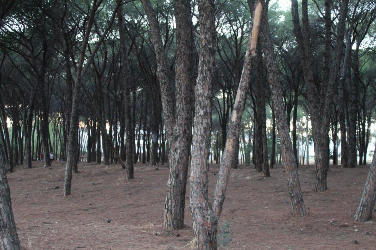 Park Hotel Le Dune Di Giovino Καταντζάρο Εξωτερικό φωτογραφία