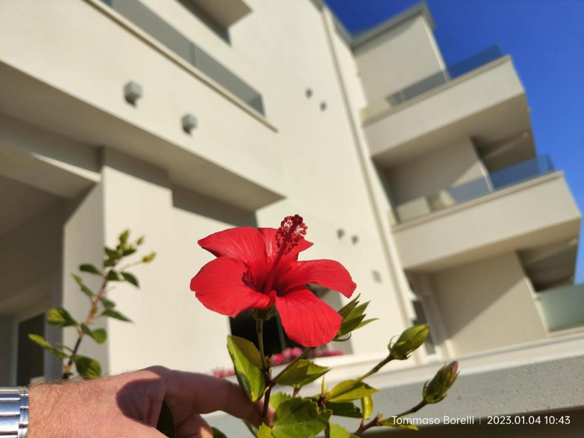 Park Hotel Le Dune Di Giovino Καταντζάρο Εξωτερικό φωτογραφία